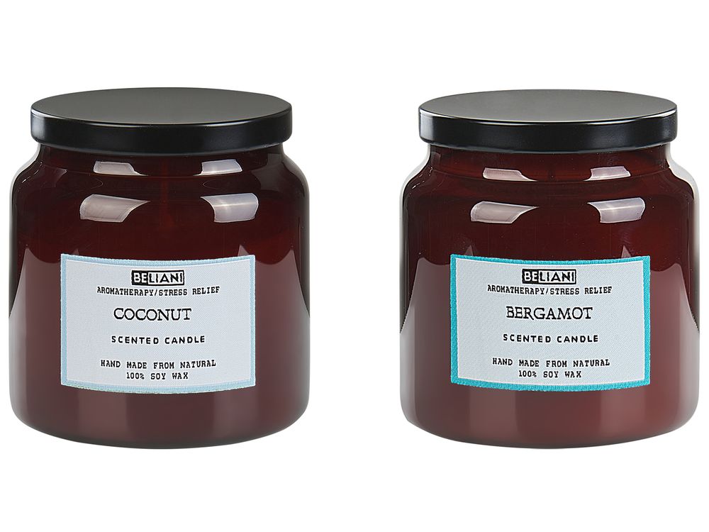 Set of 2 Scented Candles ABSOLUTE ALCHEMY Soy Wax Fresh Notes