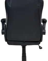 Sedia da ufficio TRIUMPHER Pelle sintetica Nero_994668