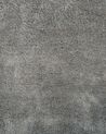 Shaggy Area Rug 200 x 300 cm Grey EVREN_758720