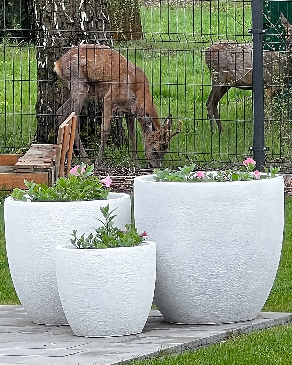 Vendita Vaso in ceramica Zoe Pot-Vasi piante|Mondo Piante