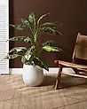 Plant Pot LIVADIA 27 cm Off-White