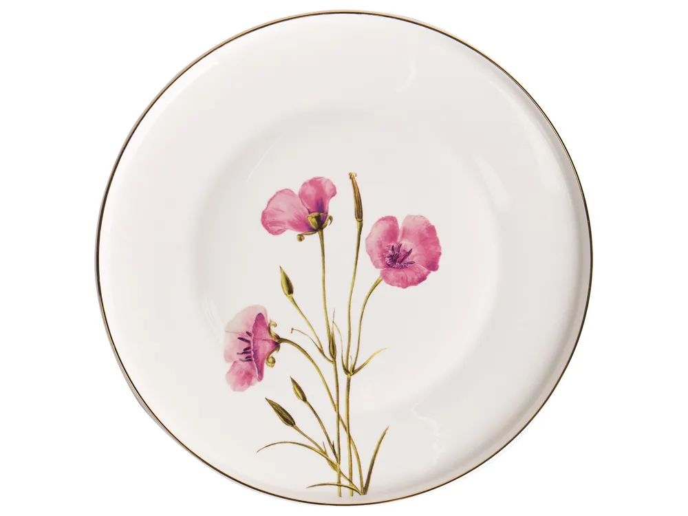 Set of 24 Dinnerware HYSSOP Porcelain White_1069155