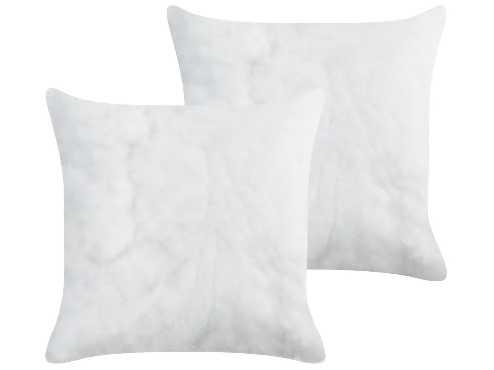 Set of 2 Cushion Inserts ECHIUM 45 x 45 cm White