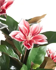 Artificial Plant MAGNOLIA TREE 90 cm Red_1103904