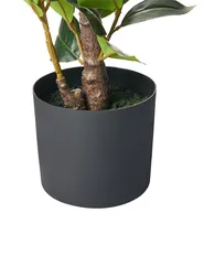 Pianta artificiale CAMELLIA 60 cm Verde_1028609