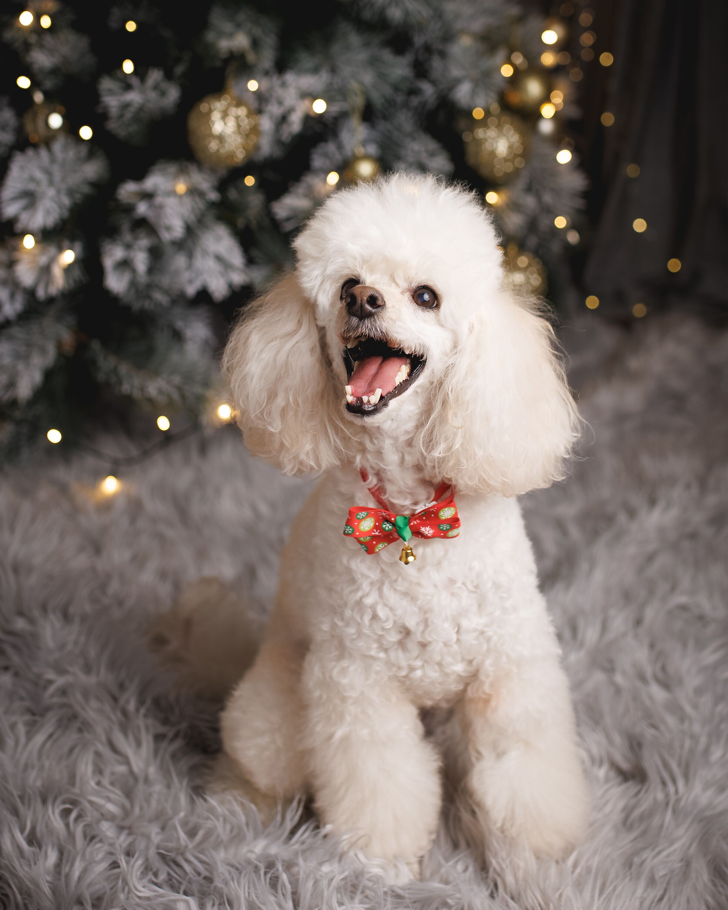 Fehér hosszú szálú szőnyeg 200 x 300 cm CIDE Beliani.hu