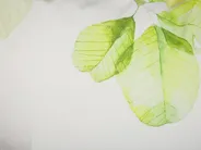 Zestaw 2 poduszek dekoracyjnych PEPEROMIA 45 x 45 cm Bawełna Biały Wzór roślinny_799566