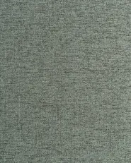 Set of 2 Dining Chairs PENNY Fabric Dark Green_1007360