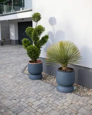 Donica ARAUCARIA 42 cm Szary_980346