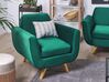 Hoes voor fauteuil fluweel groen BERNES_792858