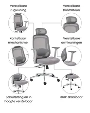 Bureaustoel OLYRA Grijs_1071080