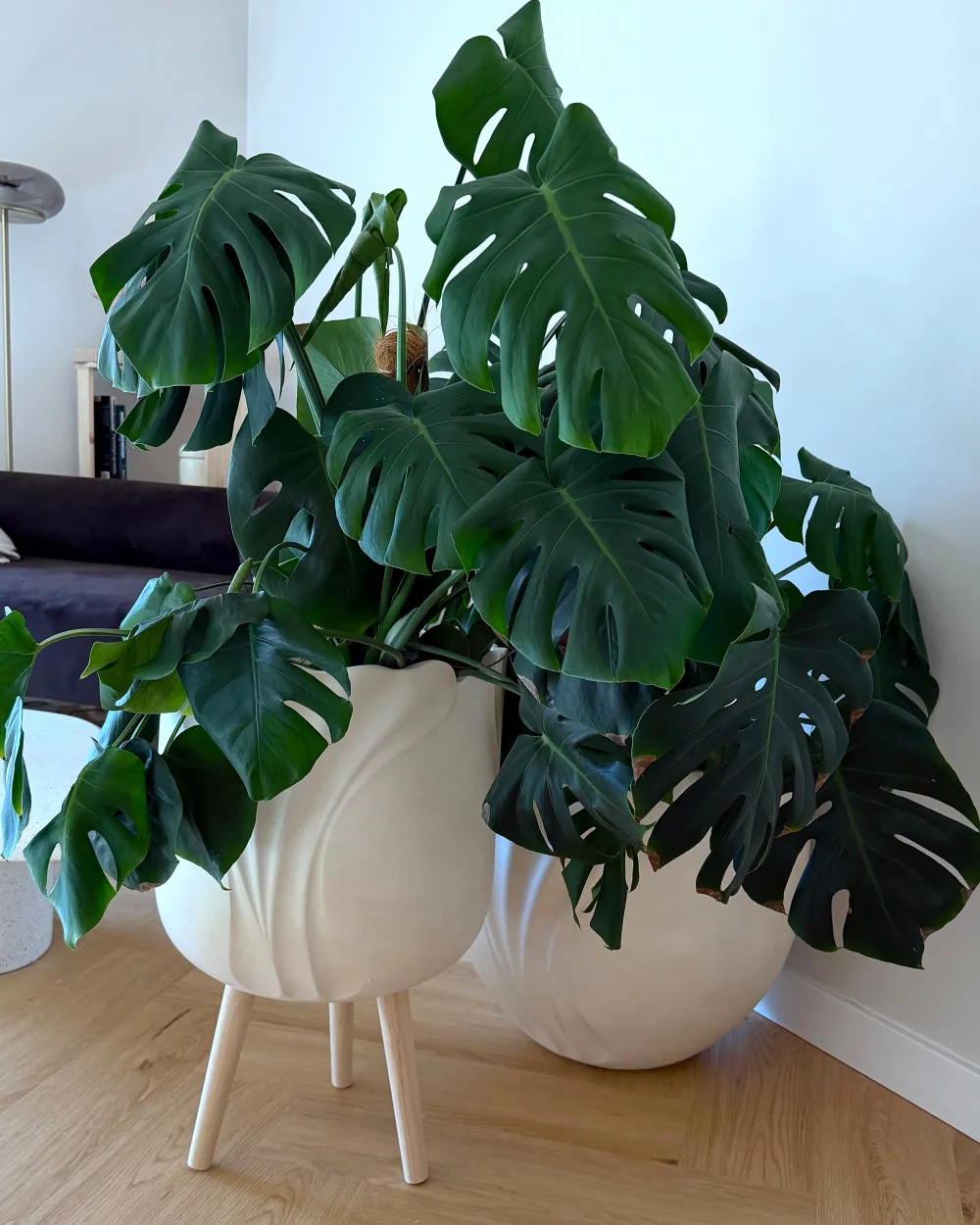 Blumentopf mit Beinen ARPONE 36 cm Hellbeige_1173908