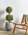 Artificial Potted Plant 92 cm BUXUS BALL TREE_901231