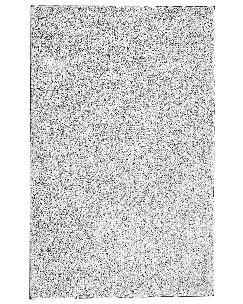Shaggy-Teppich DEMRE Grau 200 x 300 cm
