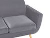 Velvet 3-Seater Sofa Cover Grey BERNES_792936