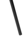 Metal Floor Lamp Black TAMEGA_697912