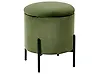 Storage Pouffe WENONA Velvet Dark Green