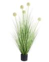 Műnövény SNOWBALL BUSH 125 cm Zöld