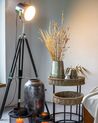 Floor Lamp Black ALZETTE_849477