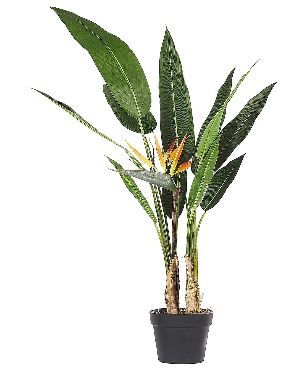 Kunstpflanze STRELITZIA TREE 115 cm Grün