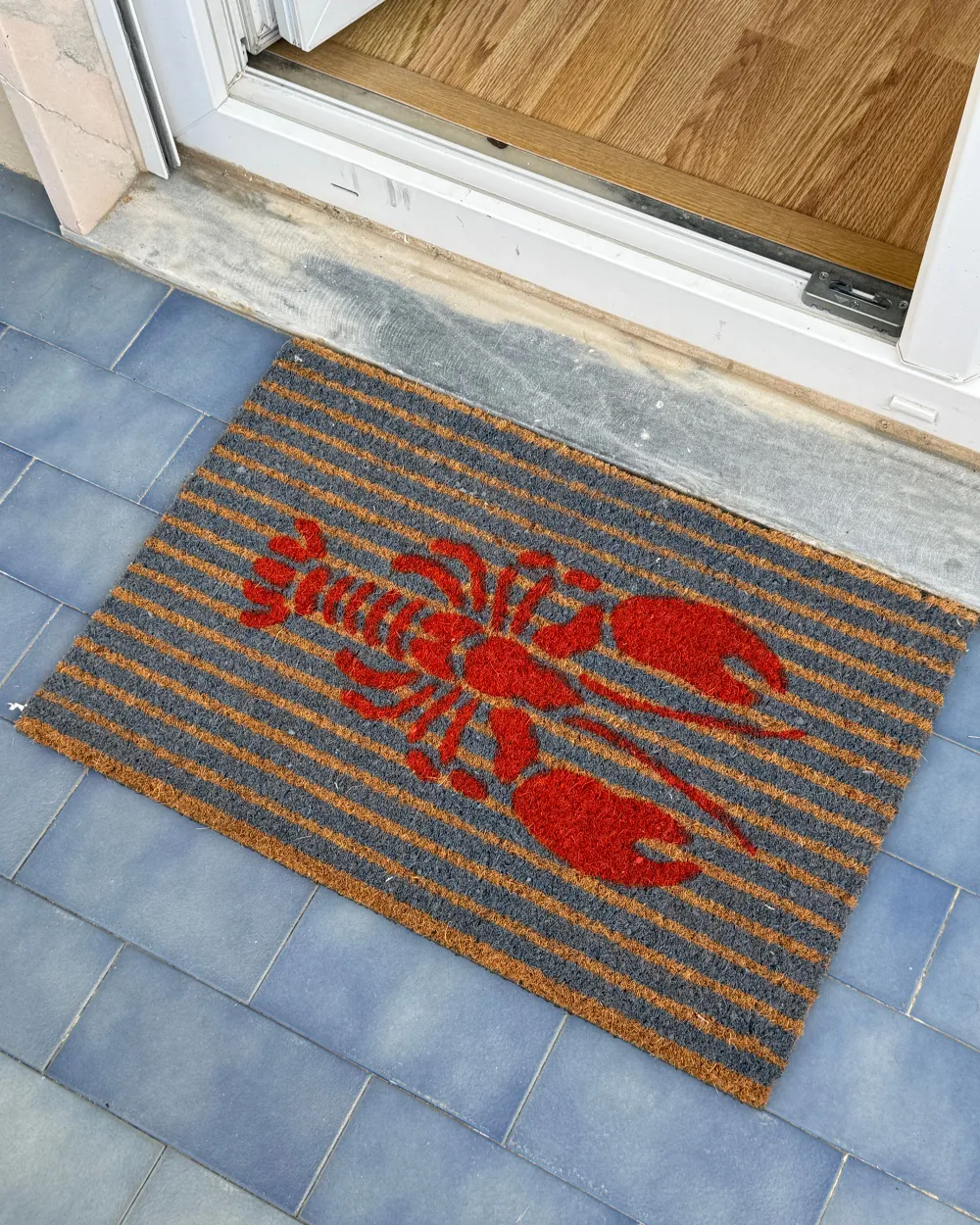 Doormat IRIGA Multicolour 40 x 60 cm Coir_1187122