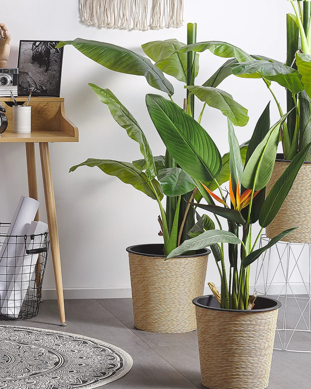 Artificial Plant STRELITZIA TREE 115 cm Green - Beliani.cz