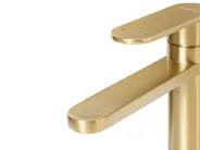 Basin Mixer Tap COLHUE Brass Gold_998870