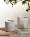 Plant Pot 42 x 42 x 42 cm Grey MESSENE_853283