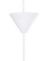 Plastic Pendant Lamp White RHINE_711720