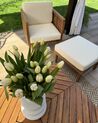 Poltrona da giardino con ottomana legno acacia chiaro e beige chiaro BARATTI_923057