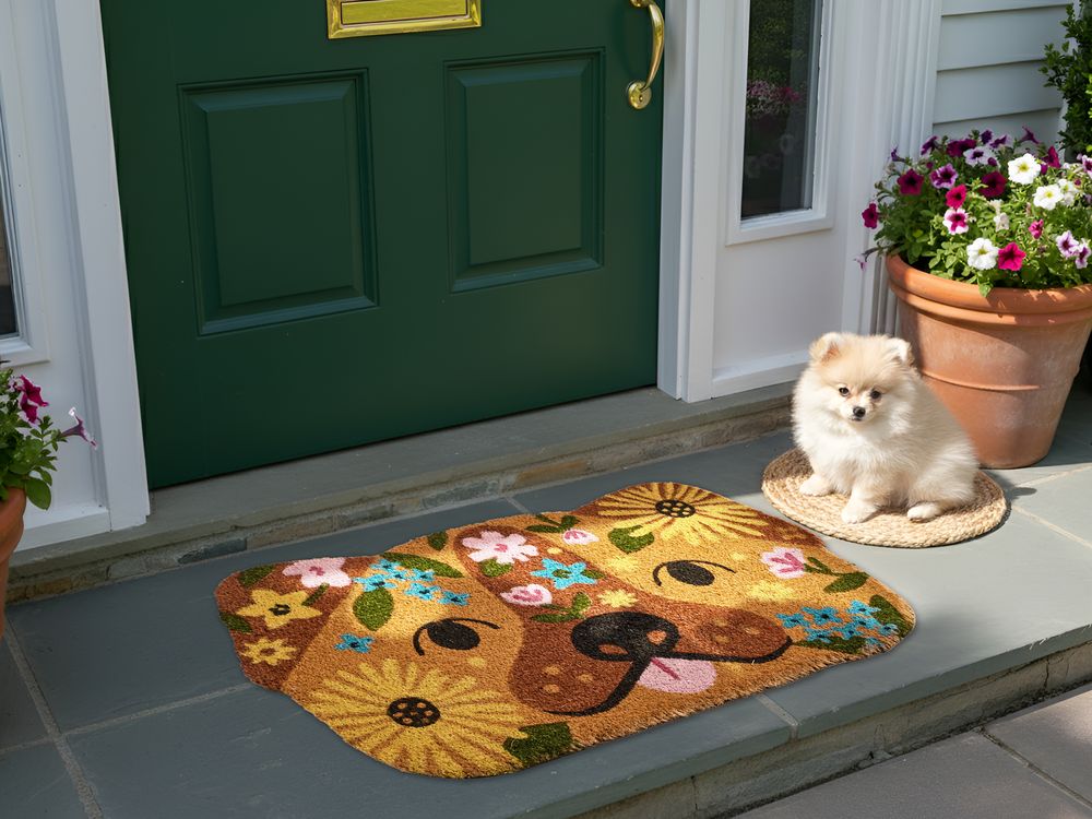 Paillasson TIBIG Multicolore 60 x 90 cm Chien Fibre de coco