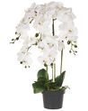 Sztuczna roślina ORCHID 65 cm Biały
