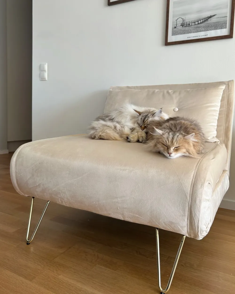 Divano letto singolo VESTFOLD Velluto Beige_1023919