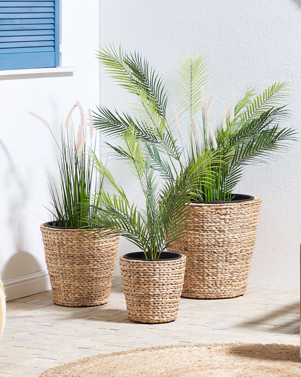 Conjunto de 3 macetas PLAKA 29/37/49 cm Jacinto de agua Natural
