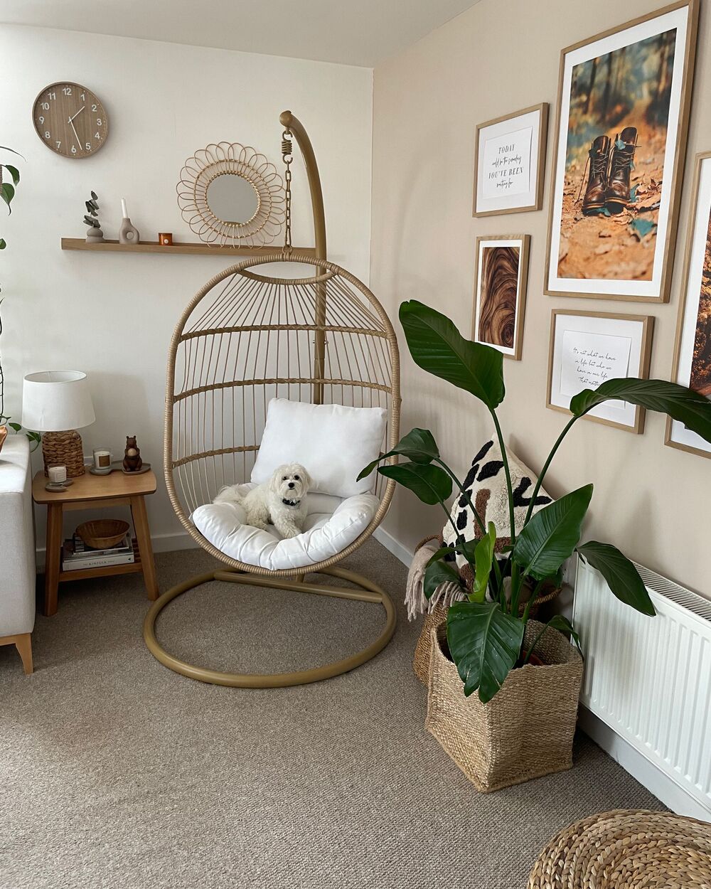 hanging chair living room