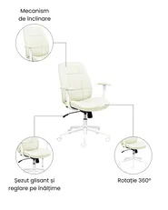 Scaun ergonomic CARLTON Verde mentă_1059690