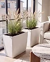 Conjunto de 2 macetas SILENEV 59 cm Gris claro
