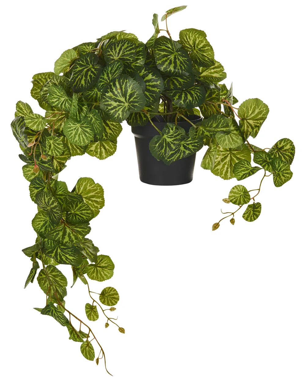 Sztuczna roślina wisząca STRAWBERRY BEGONIA 37 cm Zielony