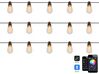 Outdoor String Warm White Smart LED Lights with App 15 Bulbs ITILLEQ_883531