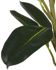 Sztuczna roślina FICUS ELASTICA 134 cm Zielony_784644