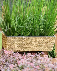Plant Pot KAWALA 60 cm Water Hyacinth Sand Beige_771314