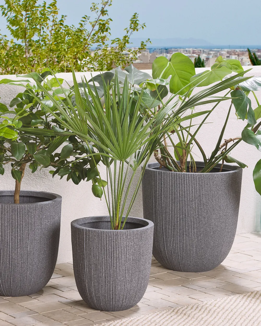 Ghiveci gri CHIOS Diverse dimensiuni