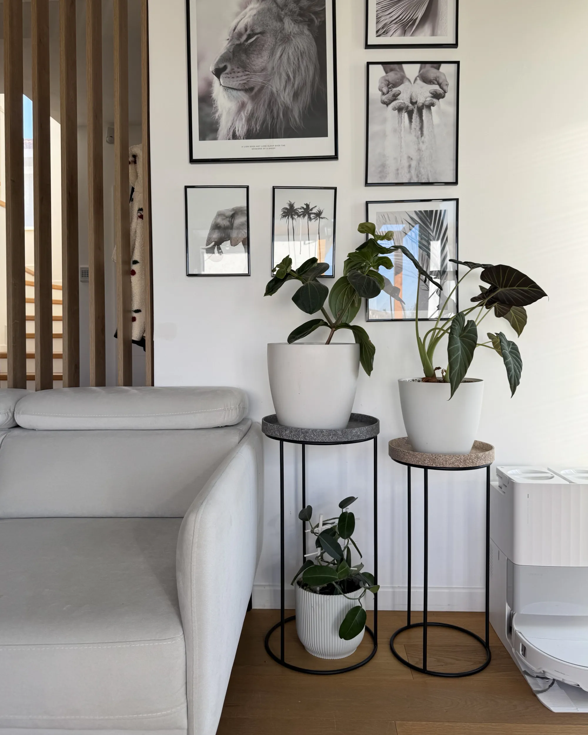 undef_src_sa_picid_1047102_type_whitesh_image.webp?ver=2