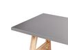 Table de jardin 200 x 100 cm gris TONNARE_930616