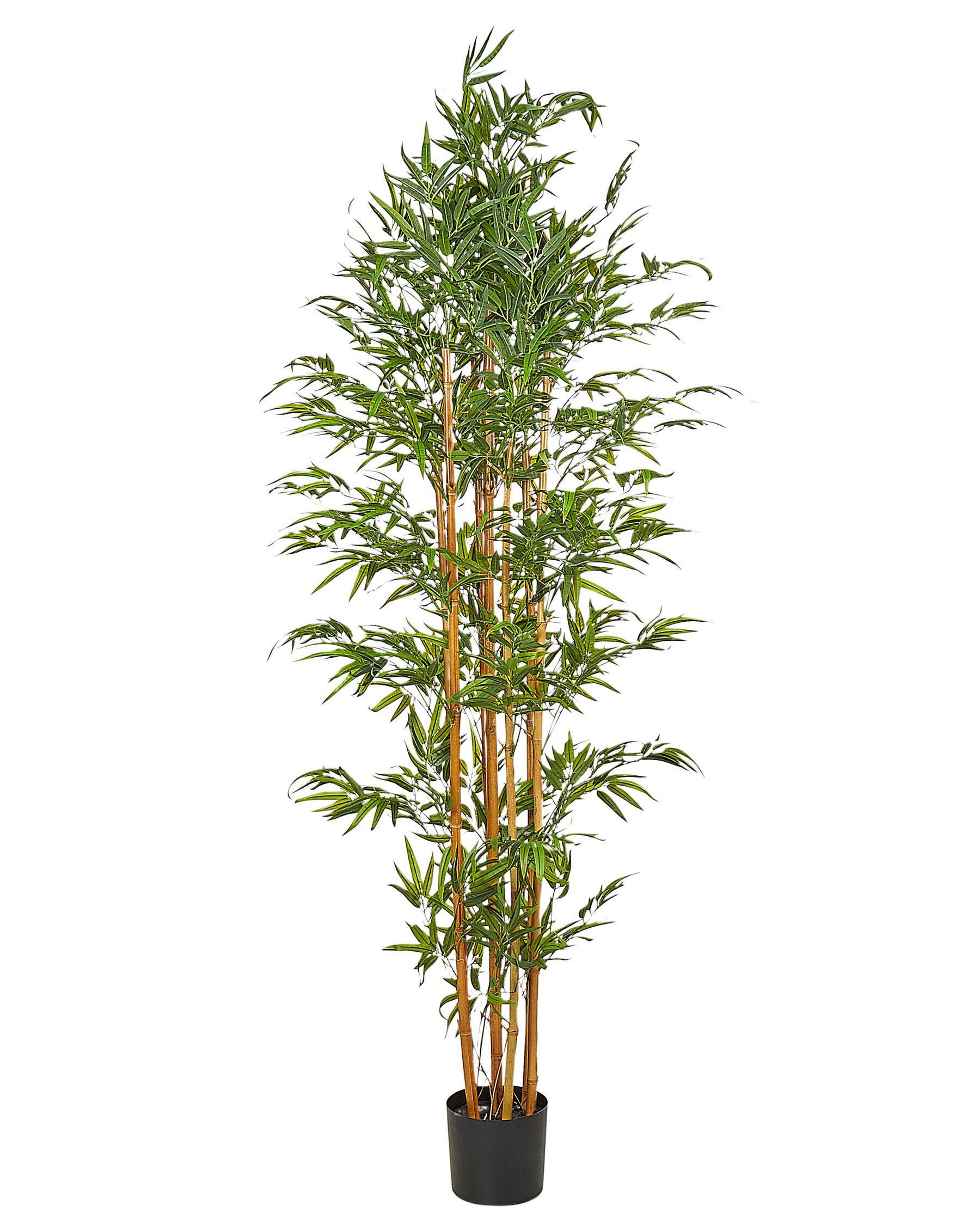 Sztuczna roślina doniczkowa 220 cm BAMBOO_901040