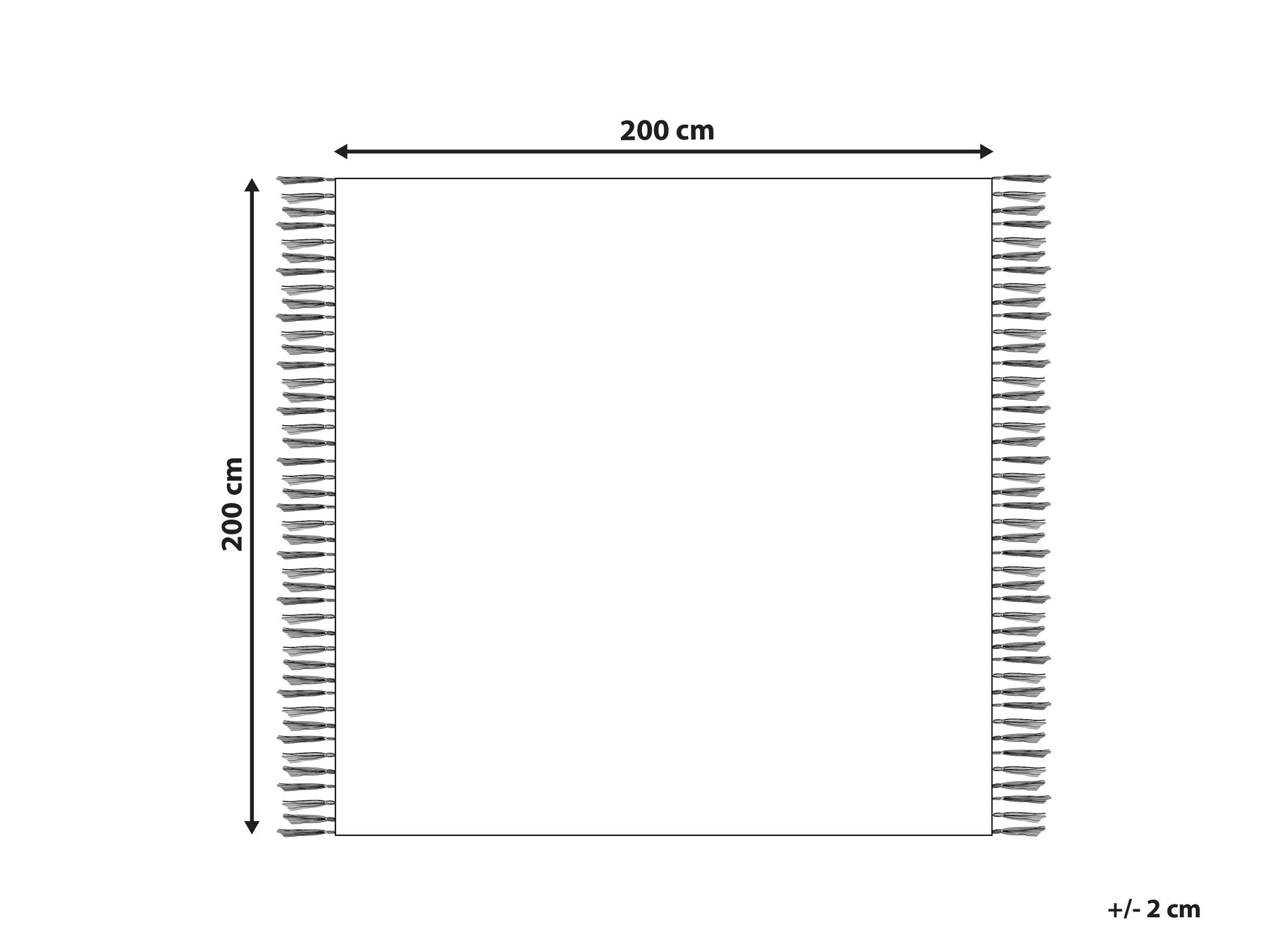 Picnic Blanket LUNDA 200 x 200 cm Grey_942592