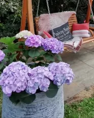 Donica DIONI 48 cm Jasnoszary_924565