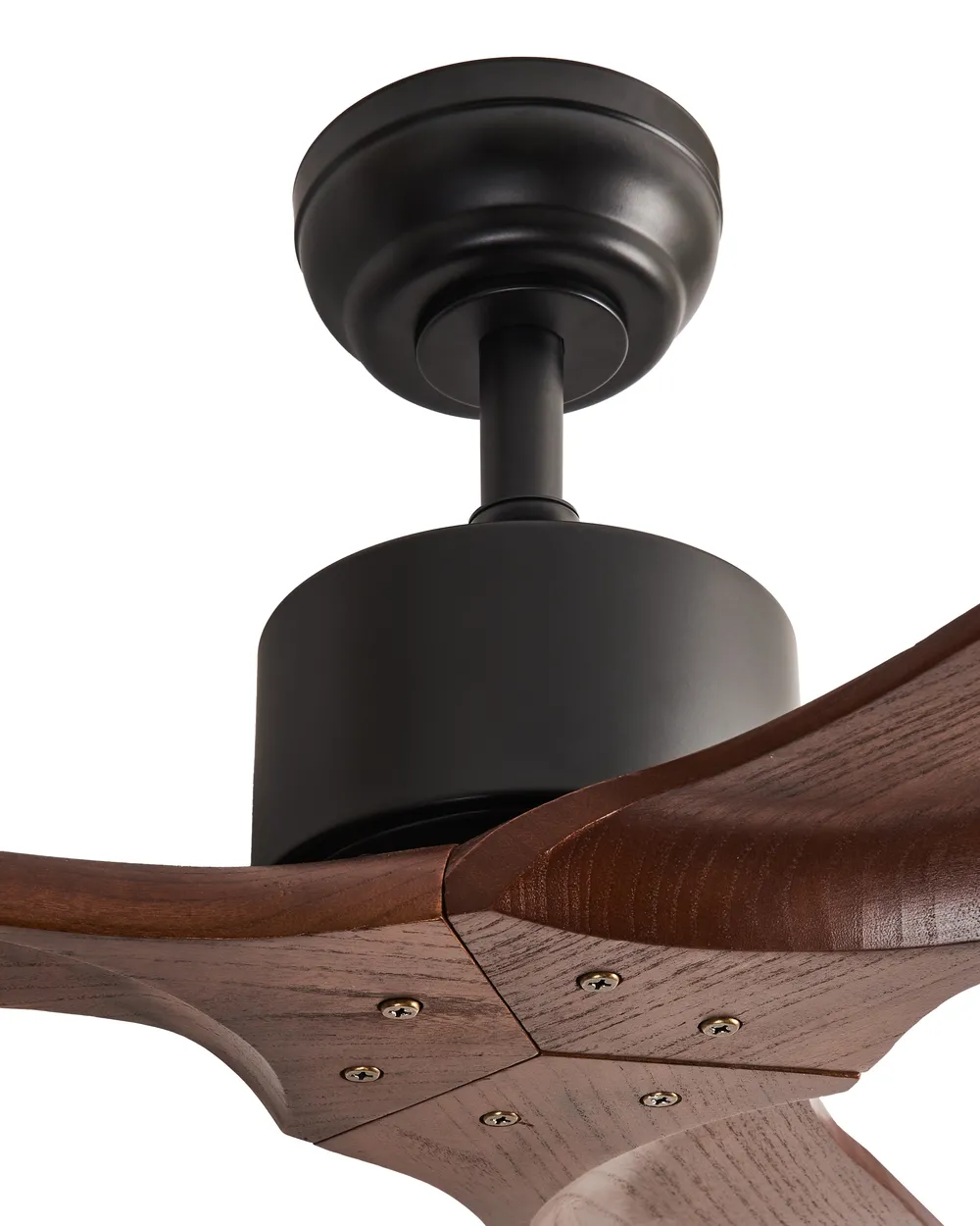 Ceiling Fan ARANI with Remote Dark Brown_988669