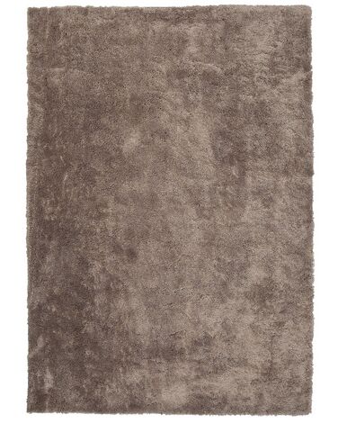 Világosbarna hosszú szálú szőnyeg 160 x 230 cm EVREN