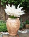 Terracotta Plant Pot ⌀ 48 cm Brown PYRUS_933949